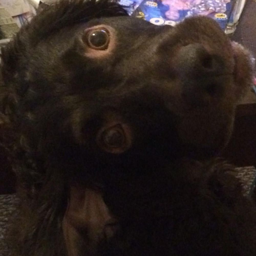 Meet your Posher, Rhonda